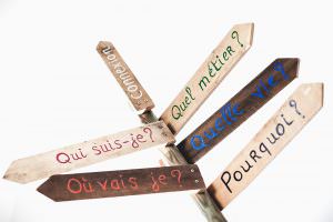 Prochain Salon Ille et bio à Guichen oct 2017